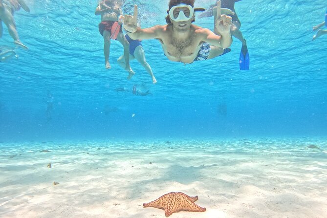 Excursion to Cozumel from Cancun - Key Highlights At a Glance
