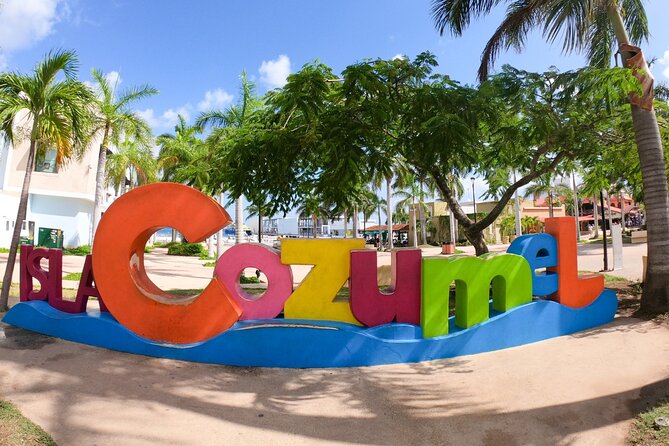 Excursion to Cozumel from Cancun - Playa El Cielo: The Famous Looking-At-The-Water Moment
