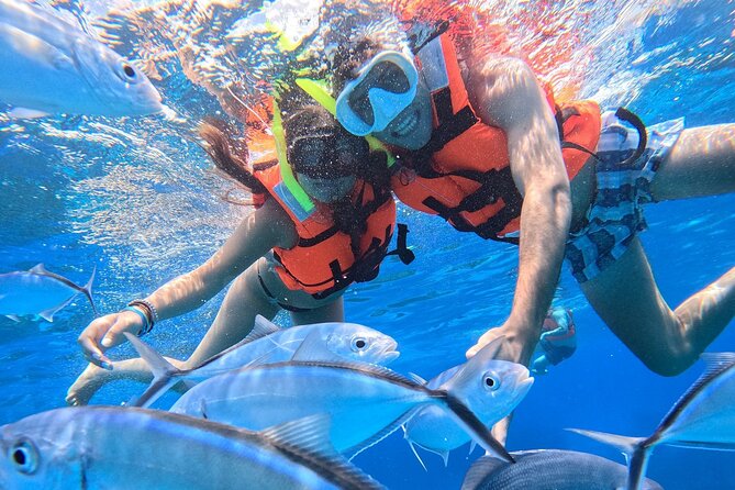 Excursion to Cozumel from Cancun - Cozumel Time On Land: Seaside Food and Island Energy