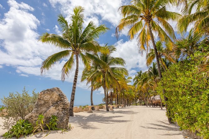 Experience an amazing ecological park tour & explore Isla Mujeres by catamaran. - Isla Mujeres beach club: the relaxed payoff