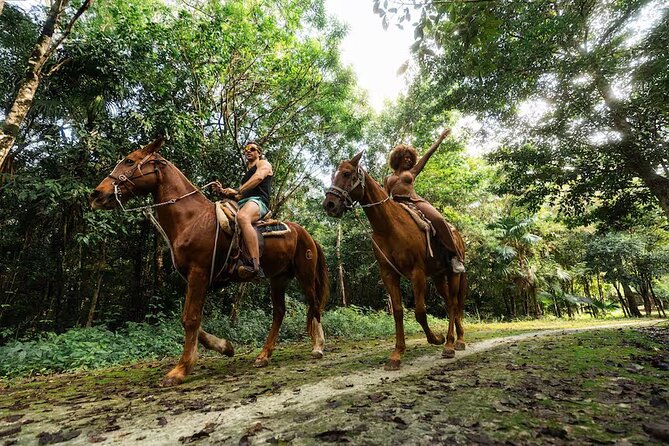Experience ATV, Ziplines, Cenote and Horses Ride in Cancún - Key Points Worth Planning For
