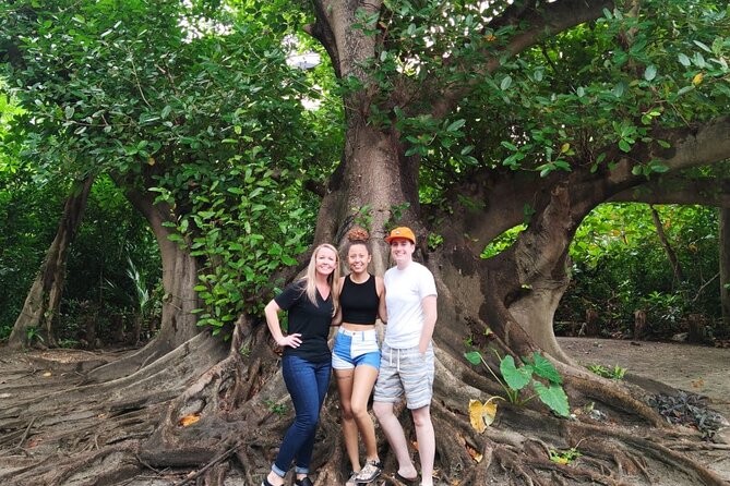 Experience Cancun's Hidden Gems, Mayan museum, cenote & Market 23 - Neen Ha cenote at El Pedregal: mineral water and a proper swim