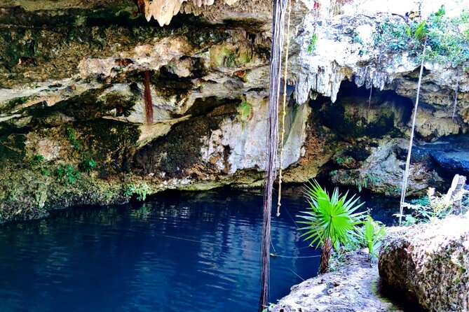 Experience Cancun's Hidden Gems, Mayan museum, cenote & Market 23 - The guides make it feel personal: Axel, Vanessa, and Max