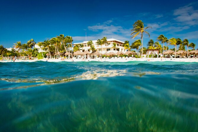 Experience swimming with turtles and explore the ruins of Tulum. Lunch included. - Lunch Included: Box Lunch Breakfast Plus a Choice of Dish