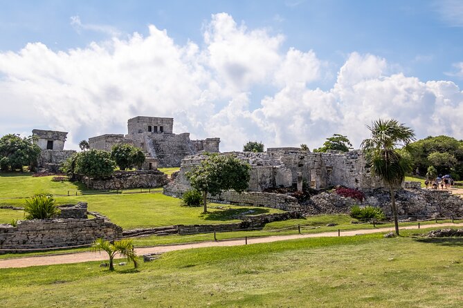 Experience swimming with turtles and explore the ruins of Tulum. Lunch included. - Guide Quality and Small Groups: Why Up to 20 Matters