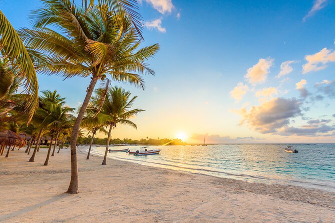 Experience swimming with turtles and explore the ruins of Tulum. Lunch included. - The One Thing to Watch: When a Day Doesn’t Match Expectations