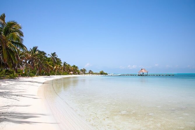 Explore Contoy Island - From Cancun hotel to the water: pickup and the 55-foot boat