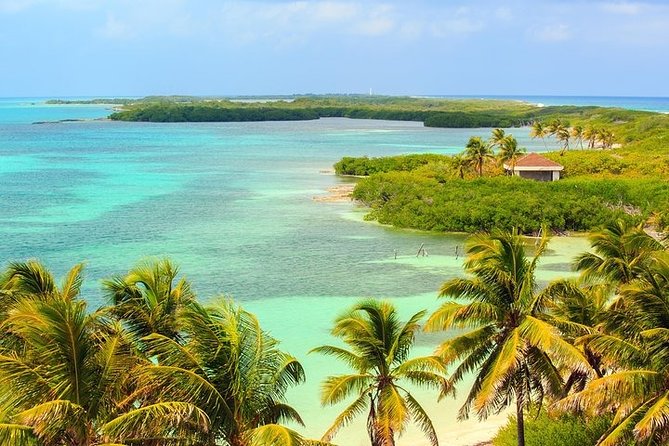 Explore Contoy Island - Lunch, drinks, and what to pack so the day feels easy