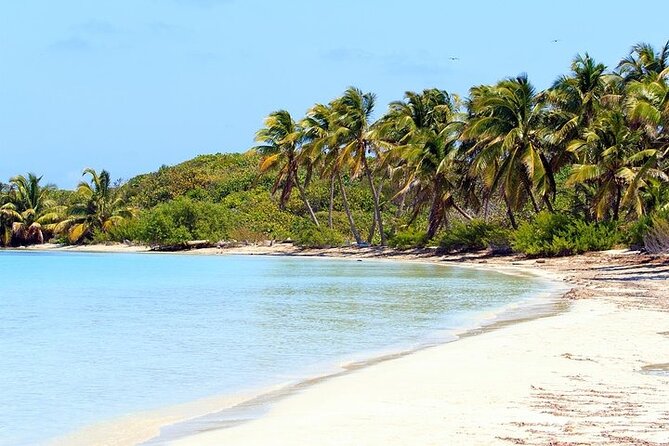 Explore Contoy Island - Ixlache Reef snorkel stop: gear, timing, and who should go