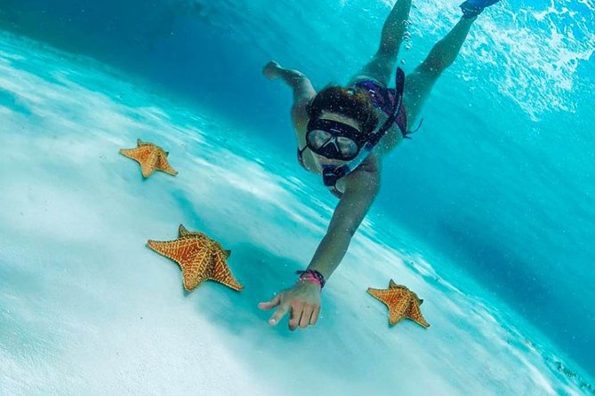 Explore El Cielo in Cozumel. Snorkel in 3 different reefs & visit Cielito Beach. - From your hotel to Playa del Carmen: how the day really starts