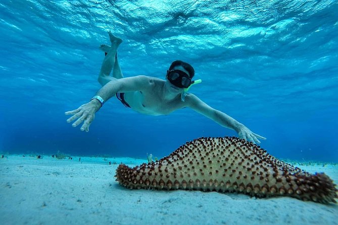 Explore El Cielo in Cozumel. Snorkel in 3 different reefs & visit Cielito Beach. - Price and value: is $175 a fair deal?