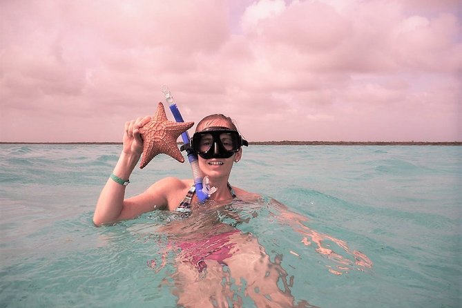 Explore El Cielo in Cozumel. Snorkel in 3 different reefs & visit Cielito Beach. - The reef day plan: three snorkel stops without the hassle