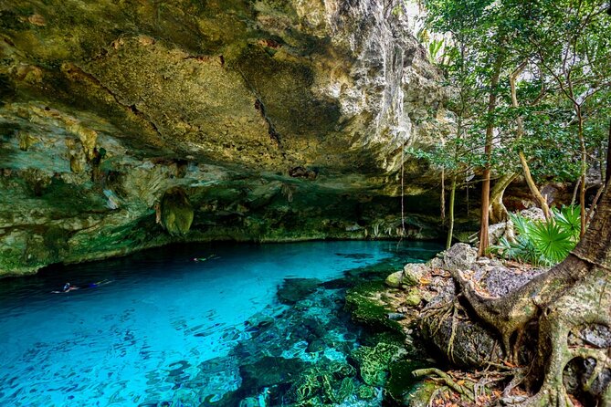 Explore Tulum and Dos Ojos Cenote with lunch and transportation - Dos Ojos Park: swim in 2 cenotes and actually have time to relax