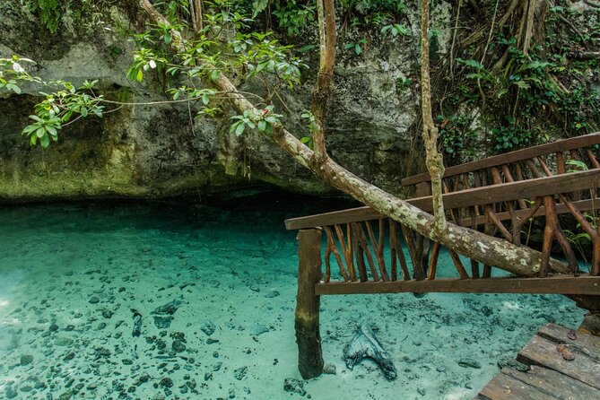 Explore Tulum and Dos Ojos Cenote with lunch and transportation - Price and logistics: what $175 really buys