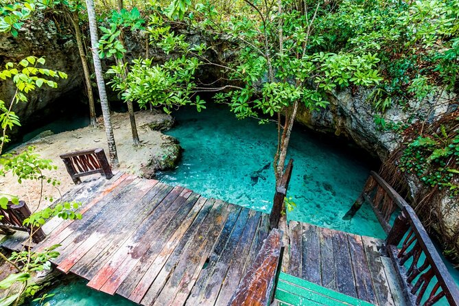 Explore Tulum and Dos Ojos Cenote with lunch and transportation - Transportation timing: why the early start matters