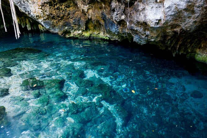 Explore Tulum and Dos Ojos Cenote with lunch and transportation - Tulum Ruins with ocean views: plan for the extra $25 entrance