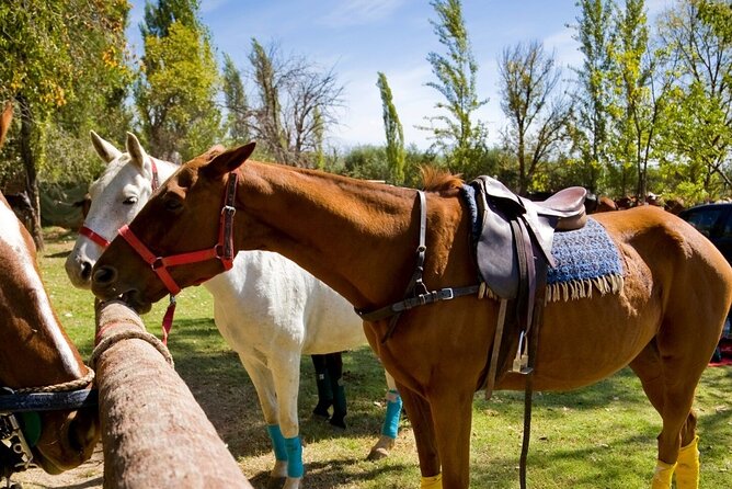 Extreme Horses Adventure with ATV, Ziplines & Cenote - Stop 2 at Extreme Adventure Eco Park: ATVs, hanging bridges, and ziplines