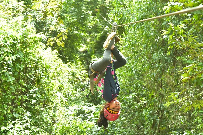 Extreme Horses Adventure with ATV, Ziplines & Cenote - The cenote swim: why this stop is the heart of the tour