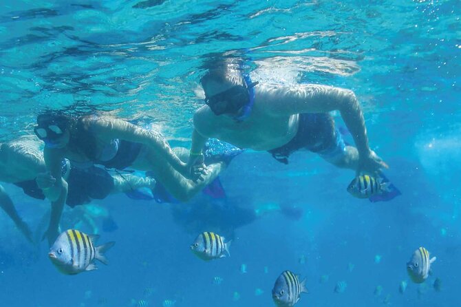 Fast & Fun: Cancun Speedboat Tour with Snorkeling - Taking the wheel: fun factor vs. comfort factor