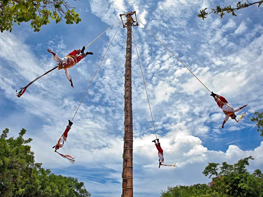 From Cancun: Complete Combo to Xcaret Park! - Plus Area and the Included Buffet: When Extra Comfort Matters