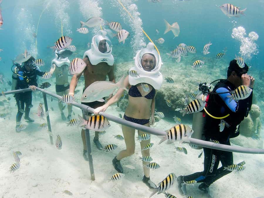 From Cancun: Complete Combo to Xcaret Park! - Underground Rivers and Cenotes: The Water Time That Makes Xcaret Special