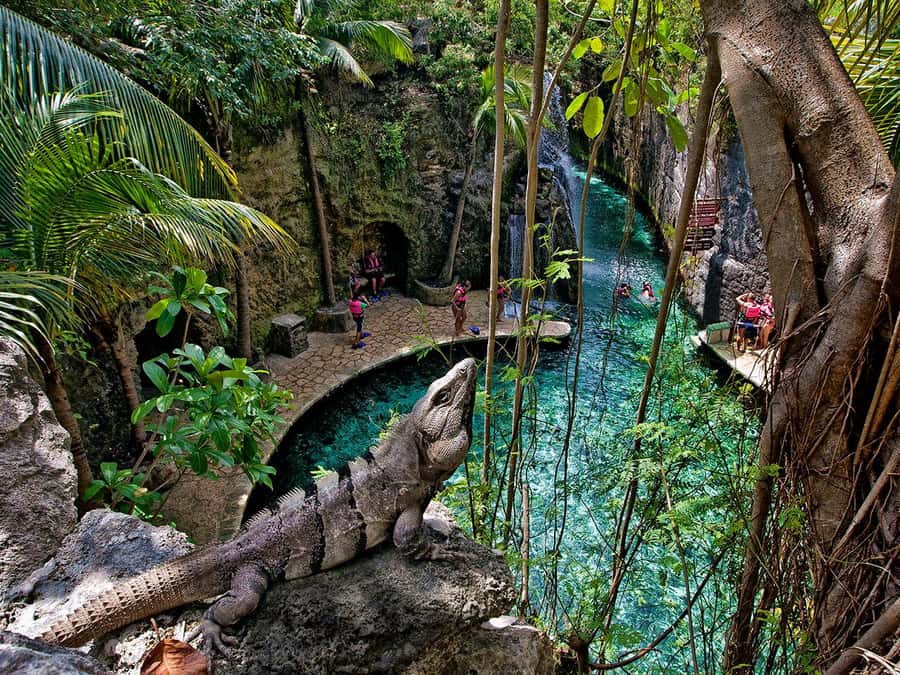 From Cancun: Complete Combo to Xcaret Park! - Price and Value: What $165 Really Buys You