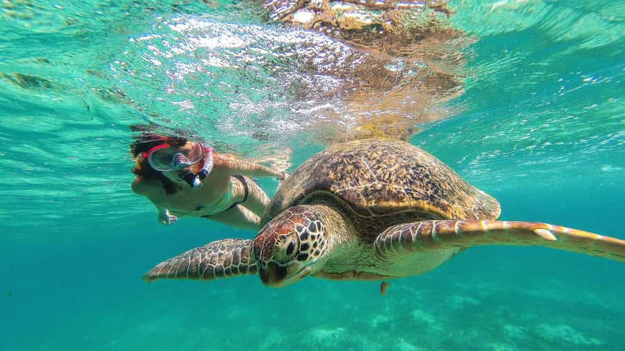 From Cancun: Day Trip to Tulum and Mariposa Cenote - Price and what it really costs (the part people forget)