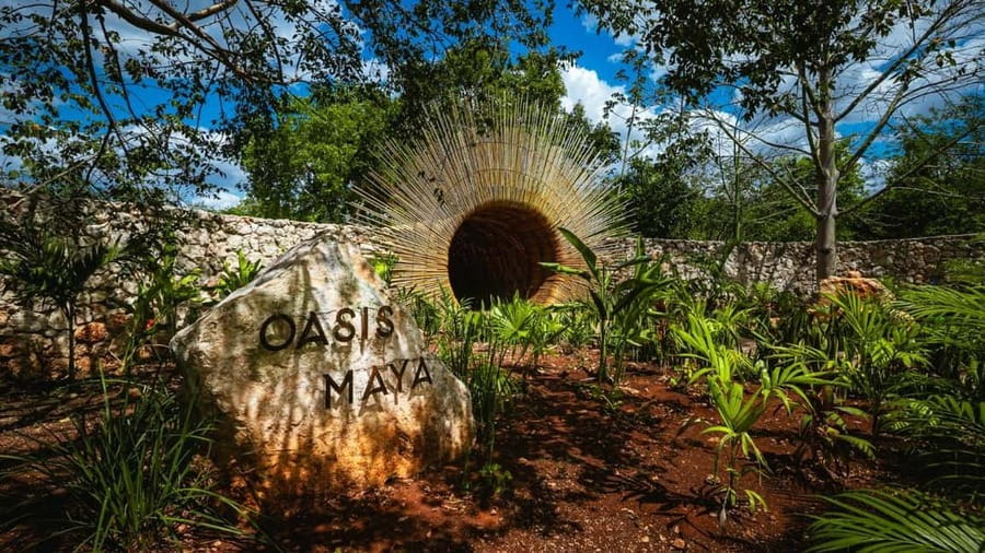 From Cancun: Ek Balam and Cenote Tour with Lunch & Transfer - Logistics That Can Catch You Off Guard