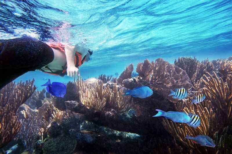From Cancun: Garrafon Reef Park Admission with Ferry Tickets - Who should book this Garrafon Reef Park ferry trip