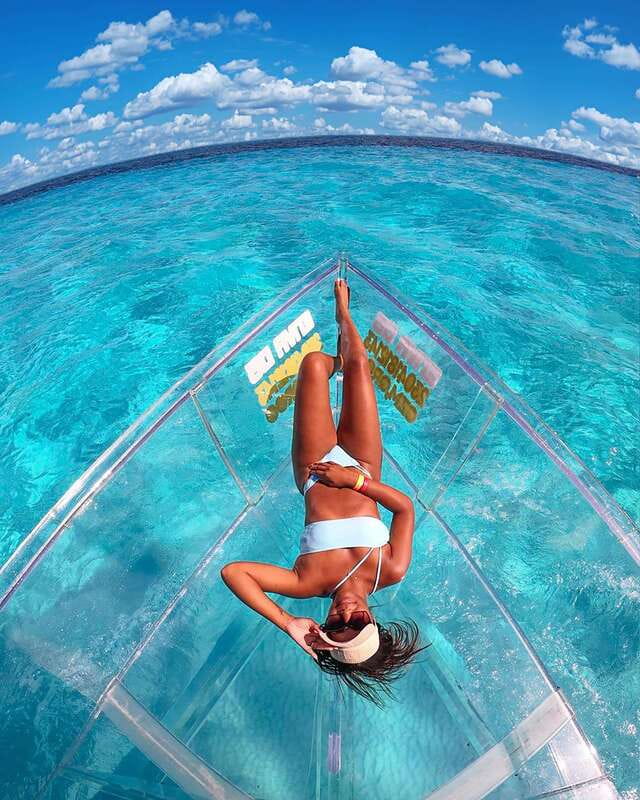 From Cancun: Glass Boat Sightseeing Trip - Wildlife expectations: what to hope for, and why some people felt let down