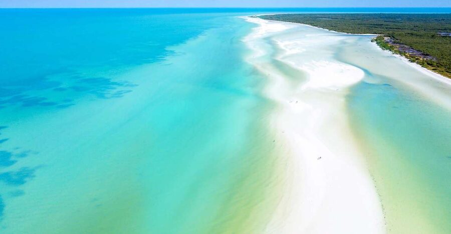 From Cancun or Puerto Morelos: Holbox Boat Tour with Lunch - A 12-Hour Mix: Van Ride, Small Boat, and Island Stops