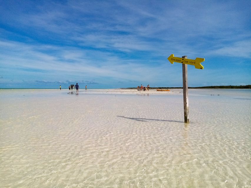 From Cancun or Puerto Morelos: Holbox Boat Tour with Lunch - Hoyo Negro Yalahau (1 Hour): Swim Time in a Natural Cenote/Lagoon