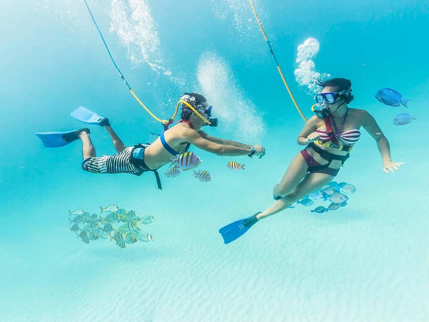 From Cancun: Xcaret Park All-Inclusive - Key things I’d plan around