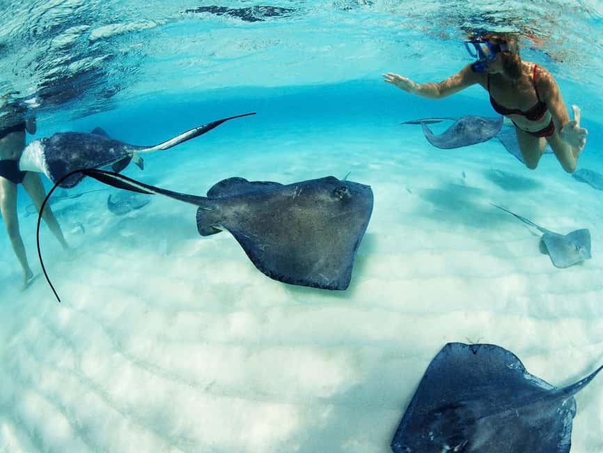 From Playa del Carmen: Xcaret Plus Park, the complete experience - Key things I’d highlight before you go