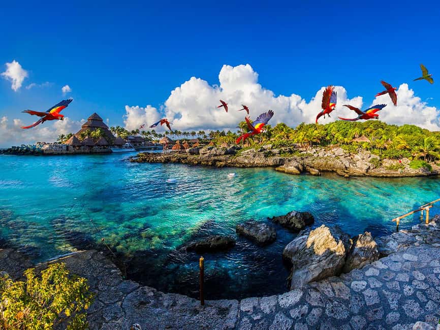 From Playa del Carmen: Xcaret Plus Park, the complete experience - Your day plan from Playa del Carmen (and why timing matters)