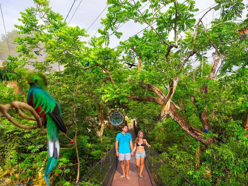 From Playa del Carmen: Xcaret Plus Park, the complete experience - Lunch that actually fits the day (buffet plus beer)