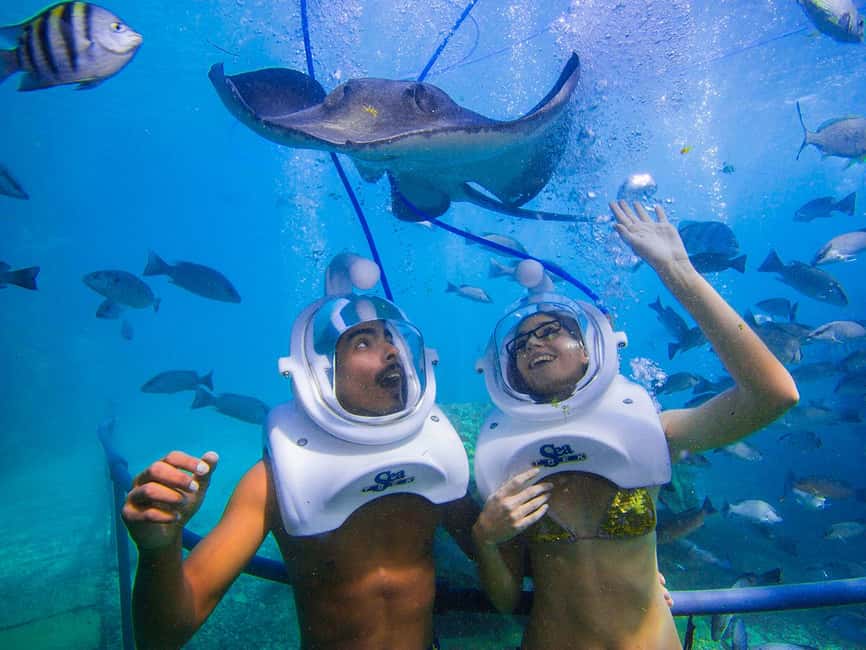 From Playa del Carmen: Xcaret Plus Park, the complete experience - Beaches, coves, and natural pools: where you choose your own pace