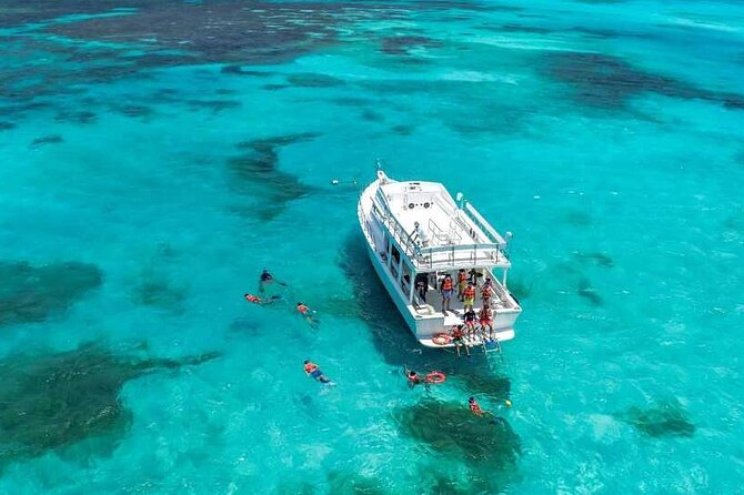 Full-Day Isla Contoy Sailing Nature Experience in Mujeres - Sea conditions, rain, and staying comfortable