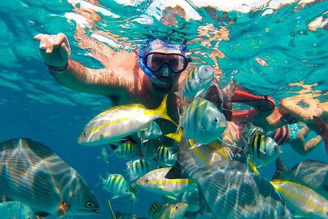 Full-Day Luxurious Catamaran Adventure - Cancún to Isla Mujeres - Drinks, photos, and the art of saying no