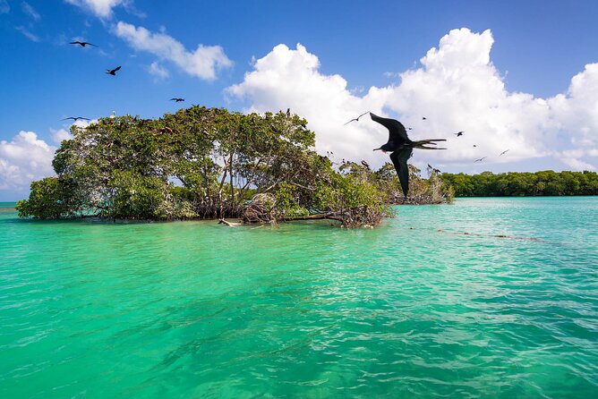 Full Day Tour of Isla Holbox and Isla Pasión with Cenote - How a 10-Hour Cancun Trip Works for Holbox and Isla Pasión