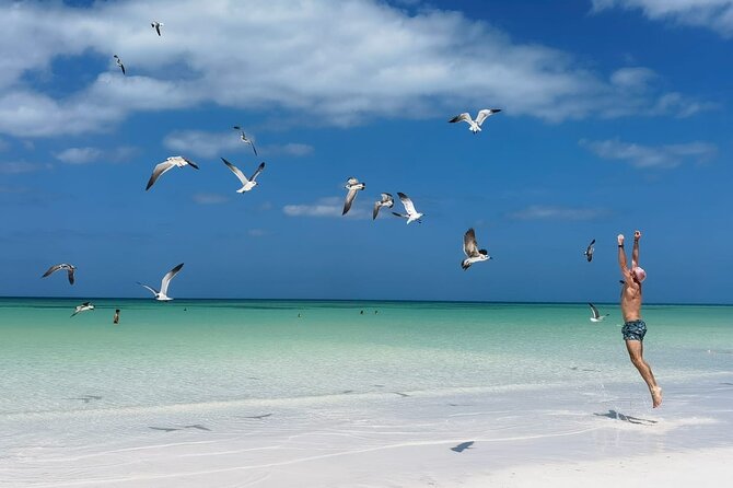Full Day Tour of Isla Holbox and Isla Pasión with Cenote - Isla de la Pasión: Panoramic Island Time Without the Overcomplication