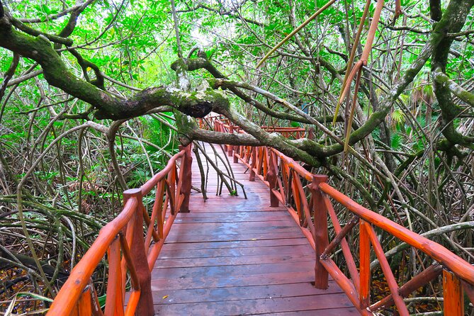 Full-Day Tour of Tulum Ruins and Cenotes with Lunch - Guides, small group energy, and how the day stays comfortable