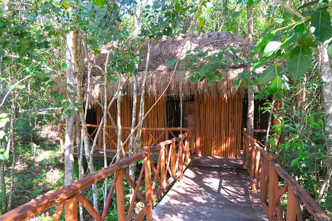 Full-Day Tour of Tulum Ruins and Cenotes with Lunch - Should you book this Tulum and cenotes tour?
