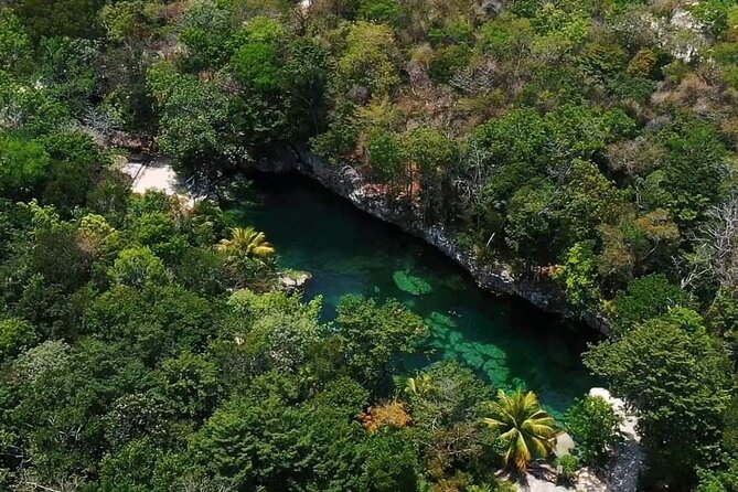 Full Day Tour to 5 Magical Cenotes in the Riviera Maya - Calle Cenote Sagrado + Cobá Highway Lunch: Where the Day Turns a Bit
