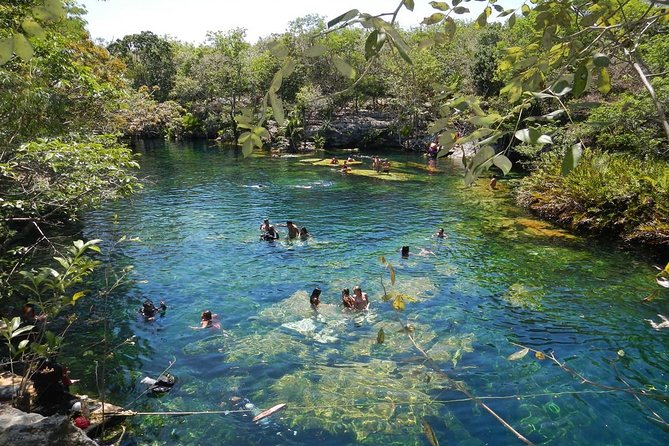 Full day tour to BACALAR, Beach Club, Kayak and an amazing Cenote - Cenote Azul: The Swim Stop That Also Resets Your Pace