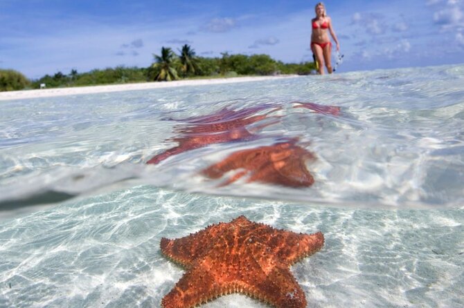 Full day tour to El Cielo in Cozumel Snorkeling and Lunch - Key things to know before you go