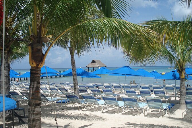 Full day tour to El Cielo in Cozumel Snorkeling and Lunch - Cancun to Playa del Carmen to Cozumel: where time can slip