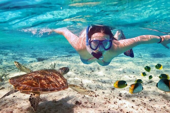 Full day tour to El Cielo in Cozumel Snorkeling and Lunch - Group size, guide language, and how that affects your experience