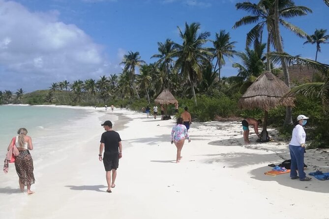 Full Day Tour to Isla Contoy and Isla Mujeres from Cancun - Lunch buffet and open bar on Isla Contoy: the practical comfort break