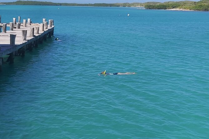 Full Day Tour to Isla Contoy and Isla Mujeres from Cancun - Who should book this tour (and who should skip it)